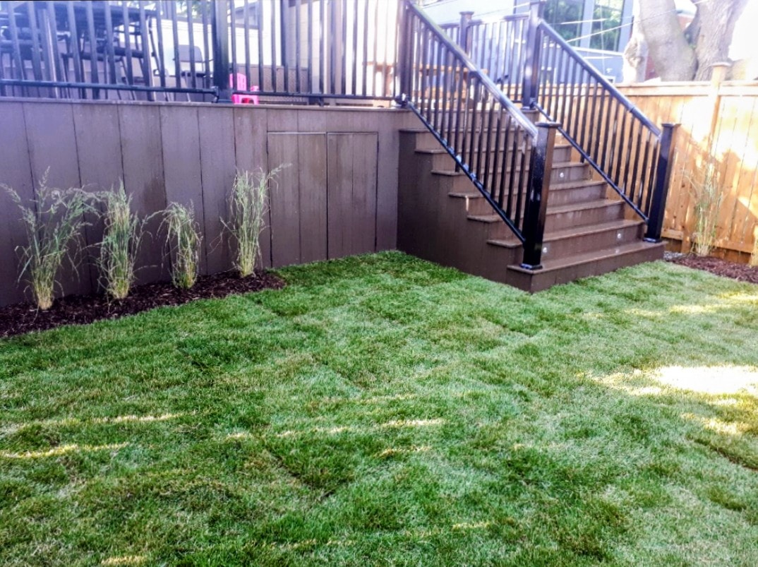 Sod installation